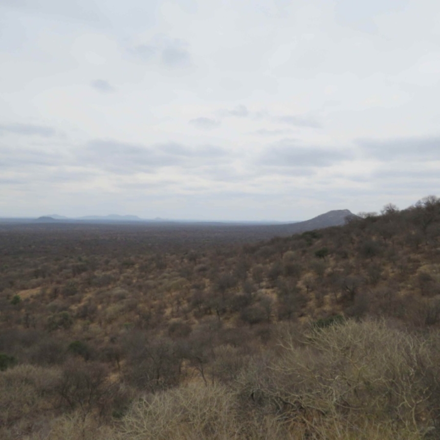 2 Bedroom Property for Sale in Alldays Limpopo