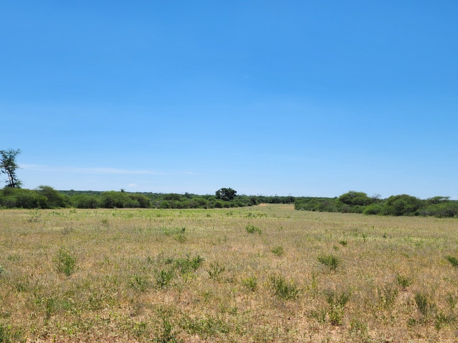 13 Bedroom Property for Sale in Musina Limpopo