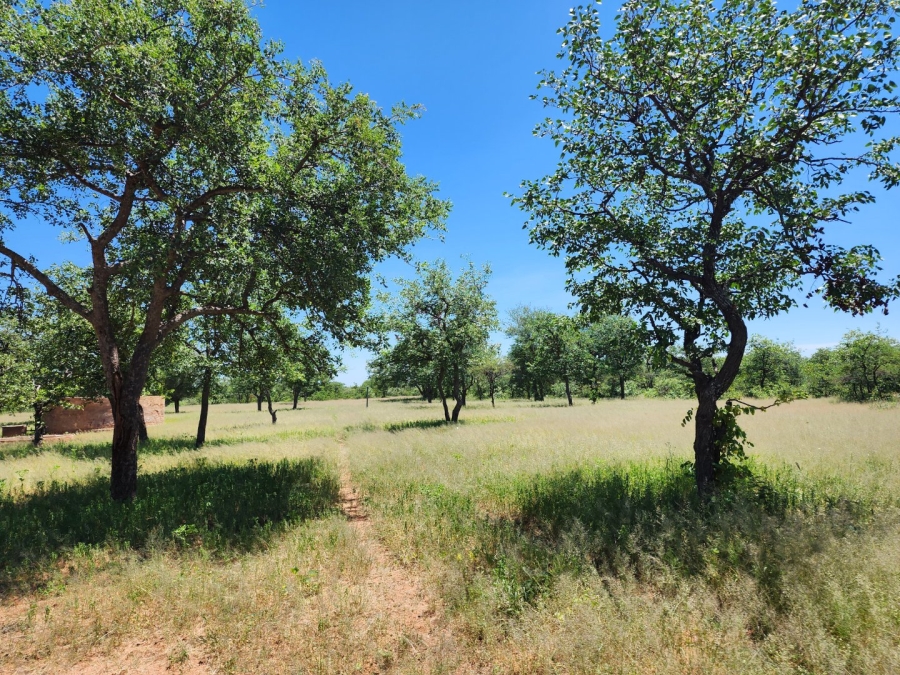 13 Bedroom Property for Sale in Musina Limpopo