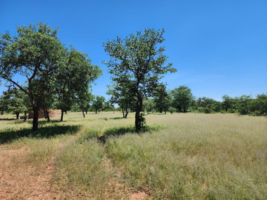 13 Bedroom Property for Sale in Musina Limpopo