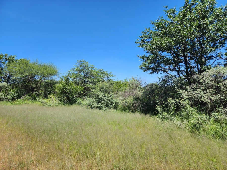 13 Bedroom Property for Sale in Musina Limpopo