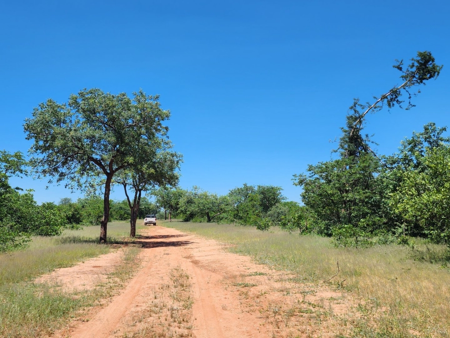 13 Bedroom Property for Sale in Musina Limpopo