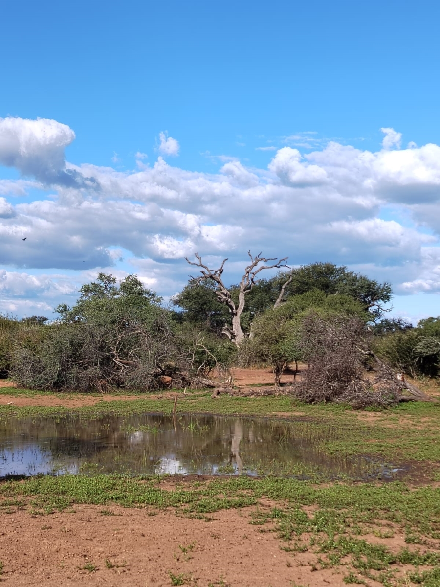 8 Bedroom Property for Sale in Tom Burke Limpopo