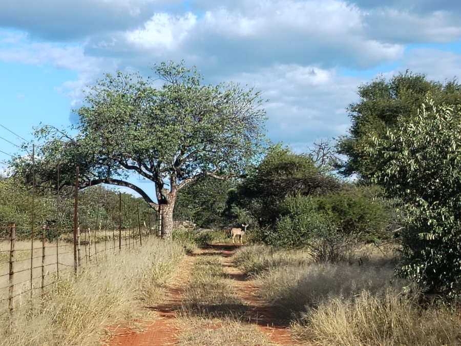 8 Bedroom Property for Sale in Tom Burke Limpopo