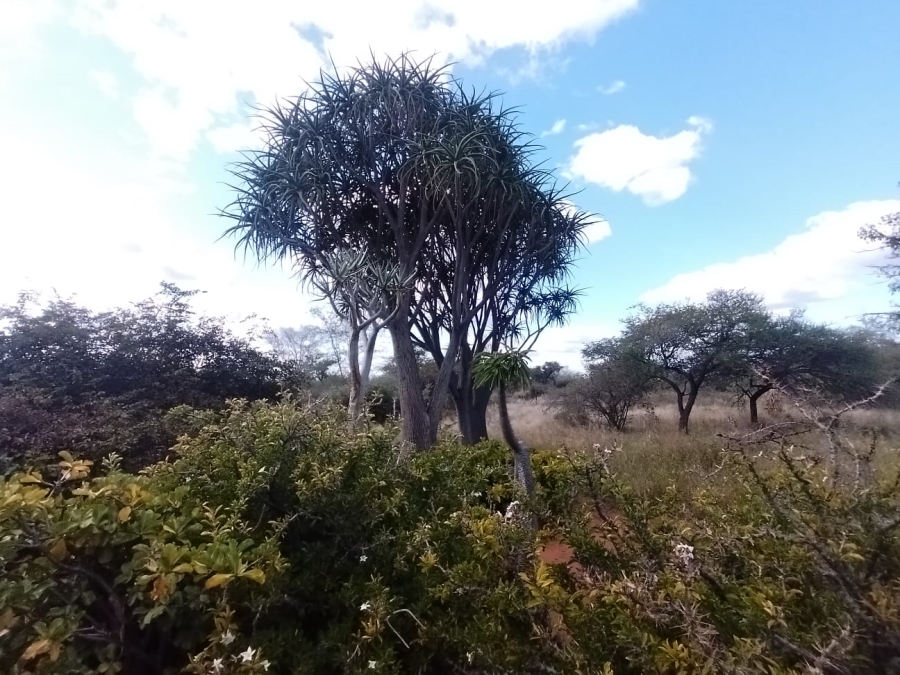 8 Bedroom Property for Sale in Tom Burke Limpopo