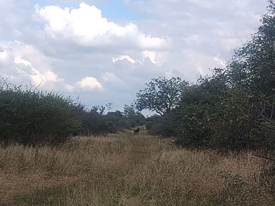 8 Bedroom Property for Sale in Tom Burke Limpopo