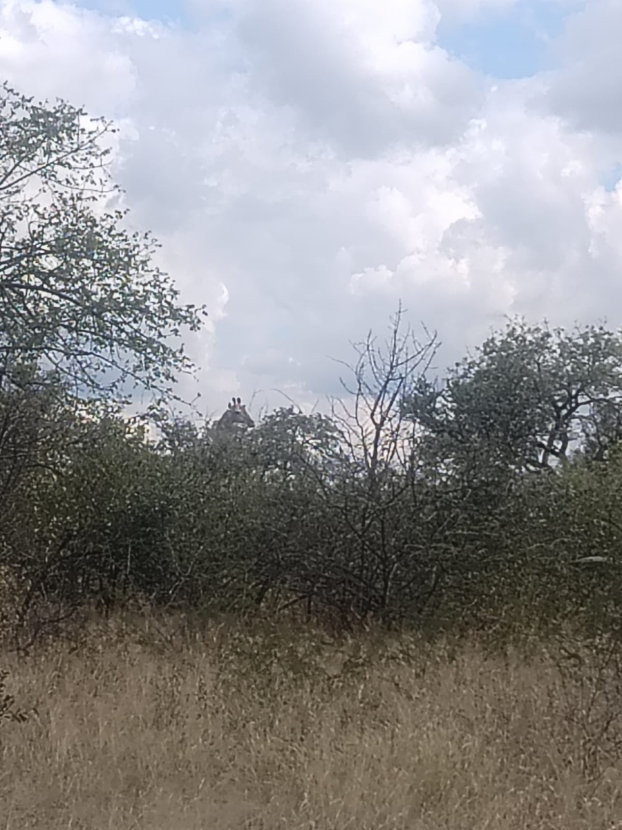 8 Bedroom Property for Sale in Tom Burke Limpopo