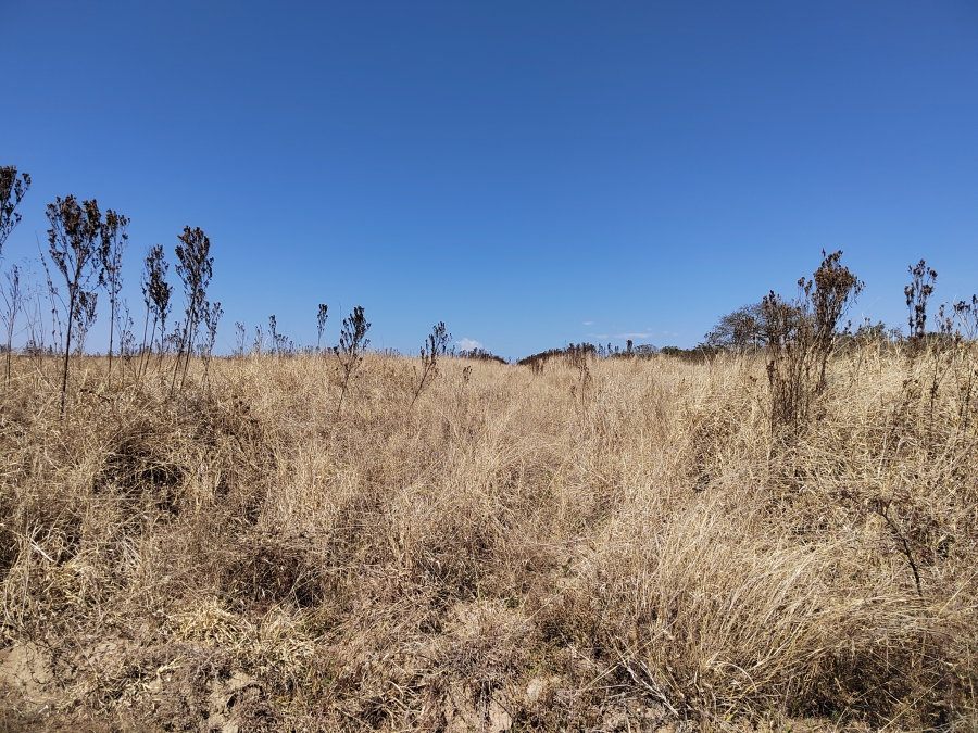 4 Bedroom Property for Sale in Tzaneen Rural Limpopo