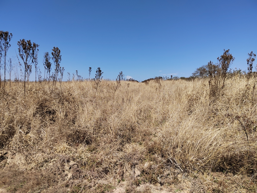 4 Bedroom Property for Sale in Tzaneen Rural Limpopo