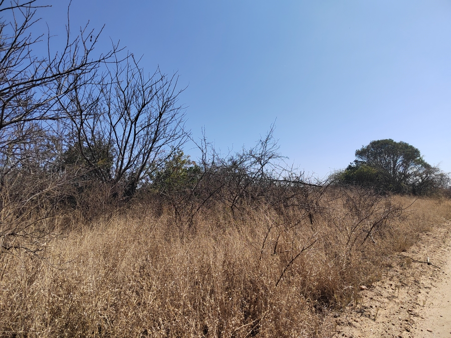 4 Bedroom Property for Sale in Tzaneen Rural Limpopo