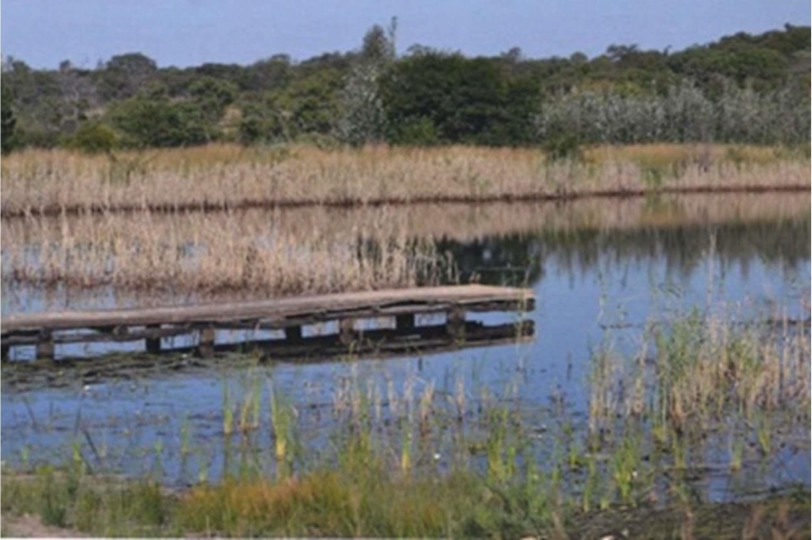 0 Bedroom Property for Sale in Mookgopong Rural Limpopo