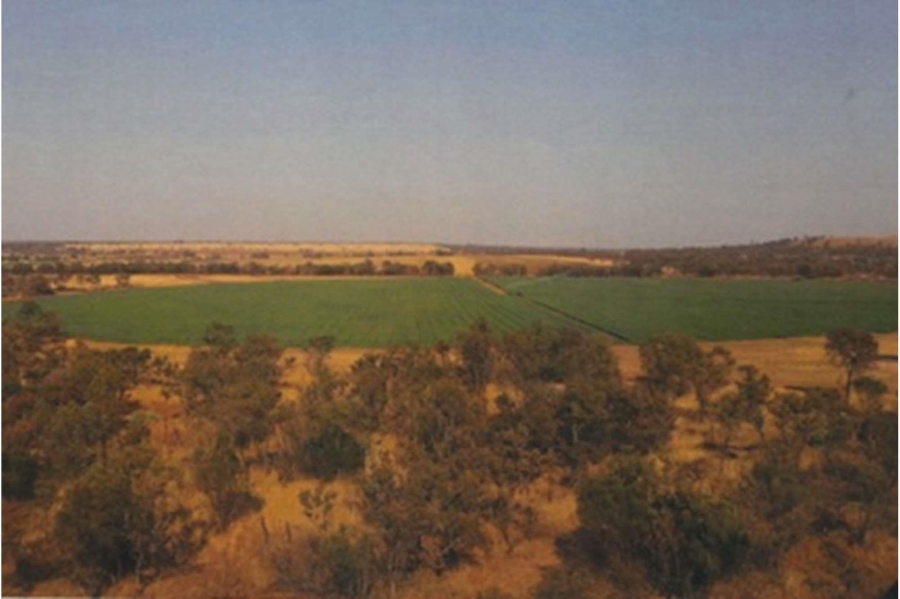 0 Bedroom Property for Sale in Mookgopong Rural Limpopo