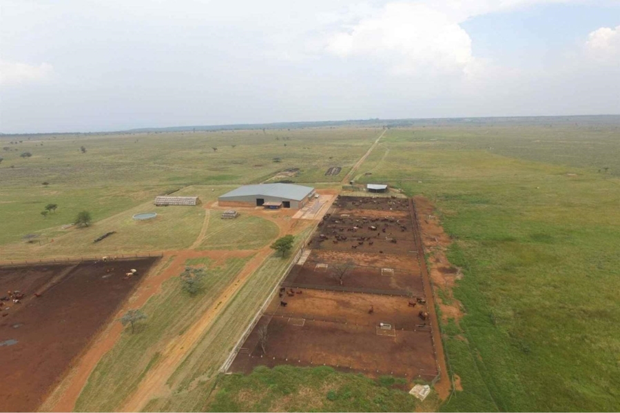 0 Bedroom Property for Sale in Mookgopong Rural Limpopo