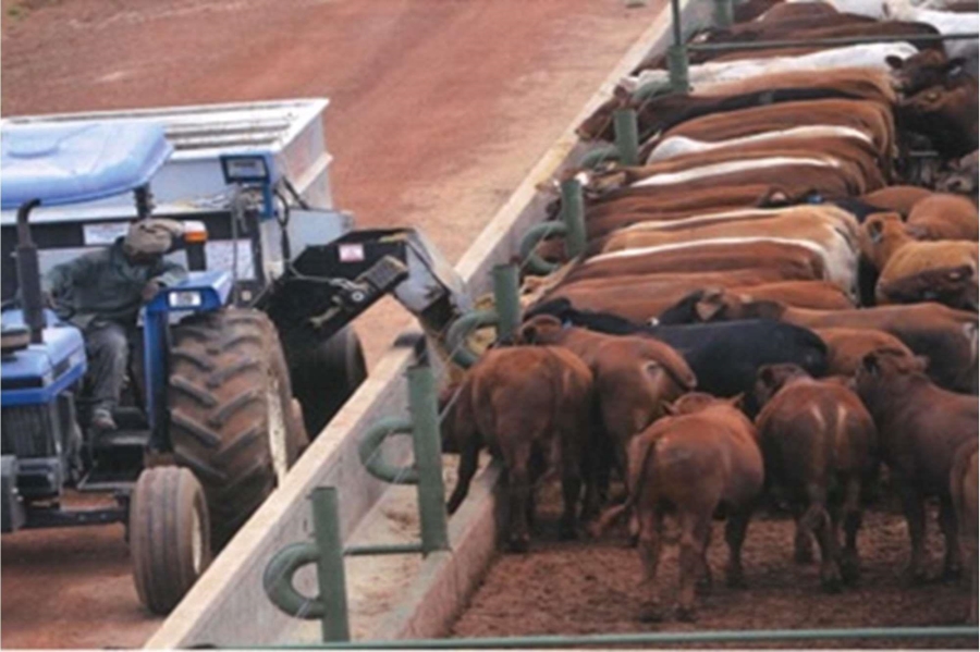 0 Bedroom Property for Sale in Mookgopong Rural Limpopo