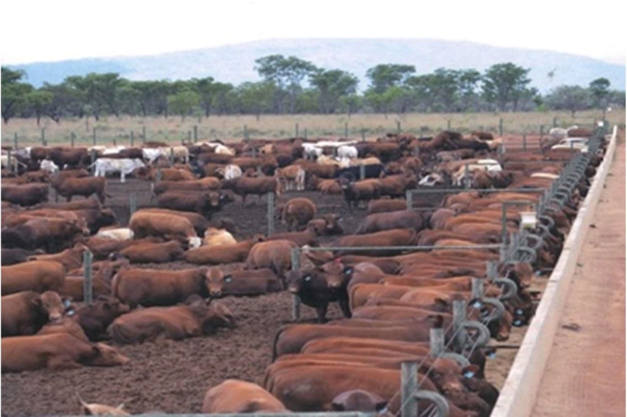 0 Bedroom Property for Sale in Mookgopong Rural Limpopo