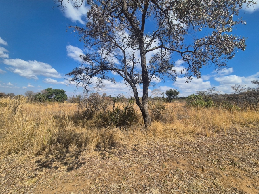 0 Bedroom Property for Sale in Euphoria Golf Estate Limpopo