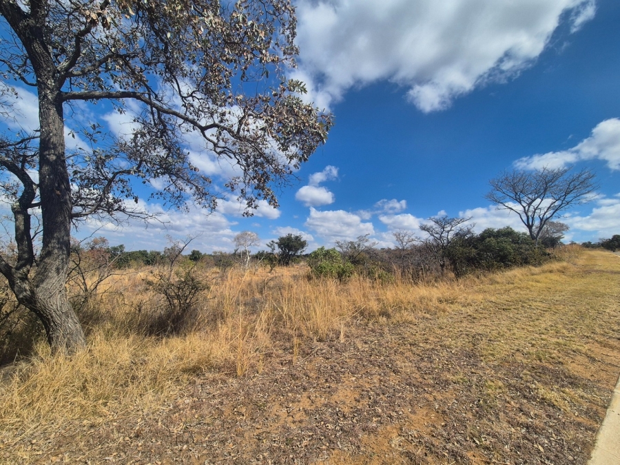 0 Bedroom Property for Sale in Euphoria Golf Estate Limpopo