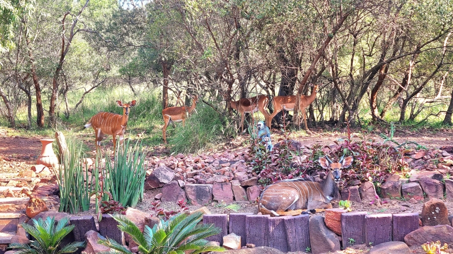 3 Bedroom Property for Sale in Koro Creek Golf Estate Limpopo