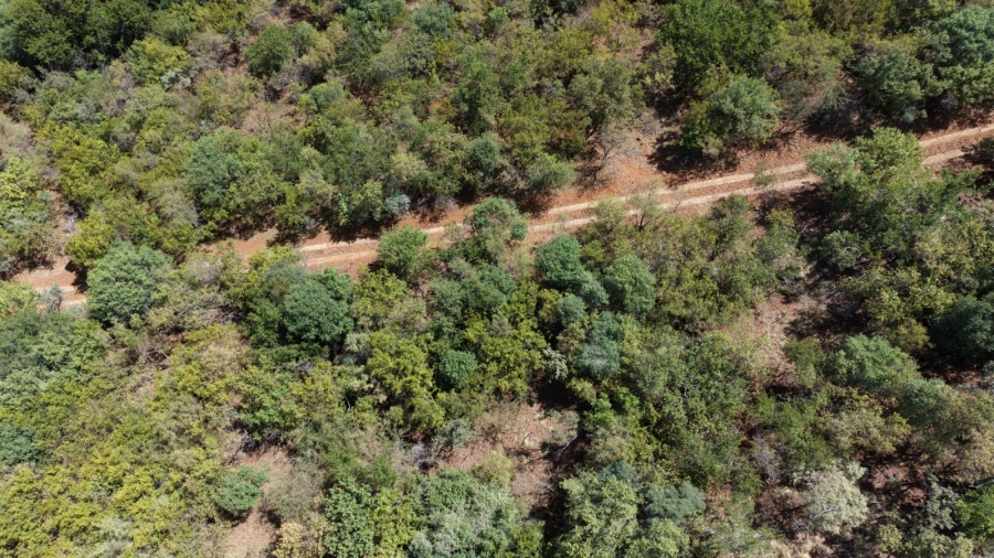 15 Bedroom Property for Sale in Bela Bela Limpopo