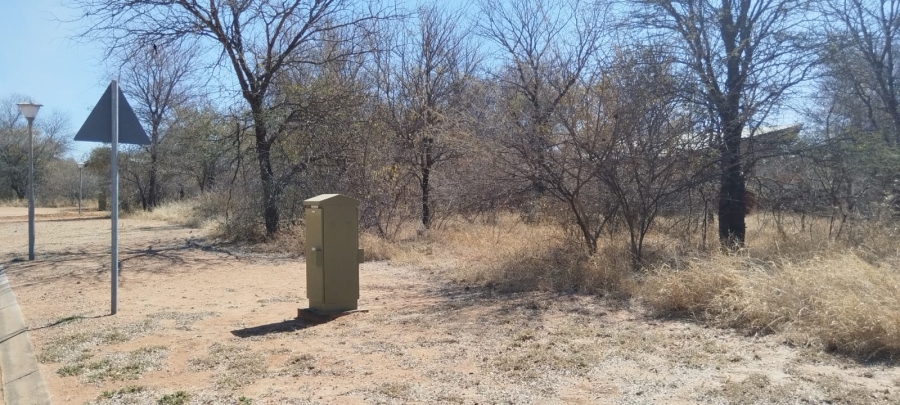 0 Bedroom Property for Sale in Onverwacht Limpopo