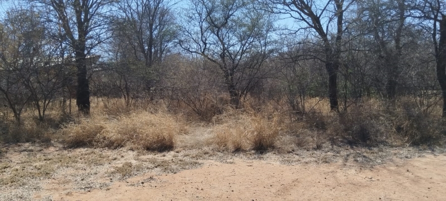 0 Bedroom Property for Sale in Onverwacht Limpopo