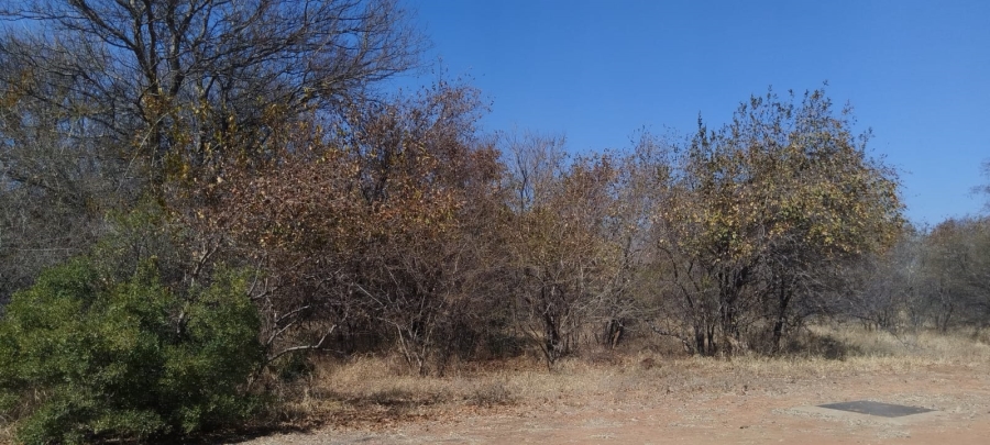 0 Bedroom Property for Sale in Onverwacht Limpopo