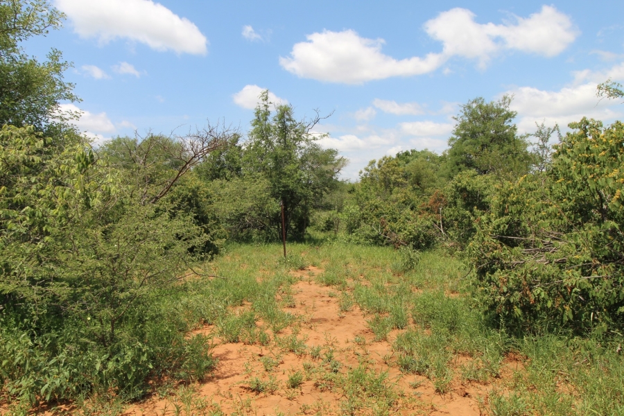 0 Bedroom Property for Sale in Raptors View Wildlife Estate Limpopo