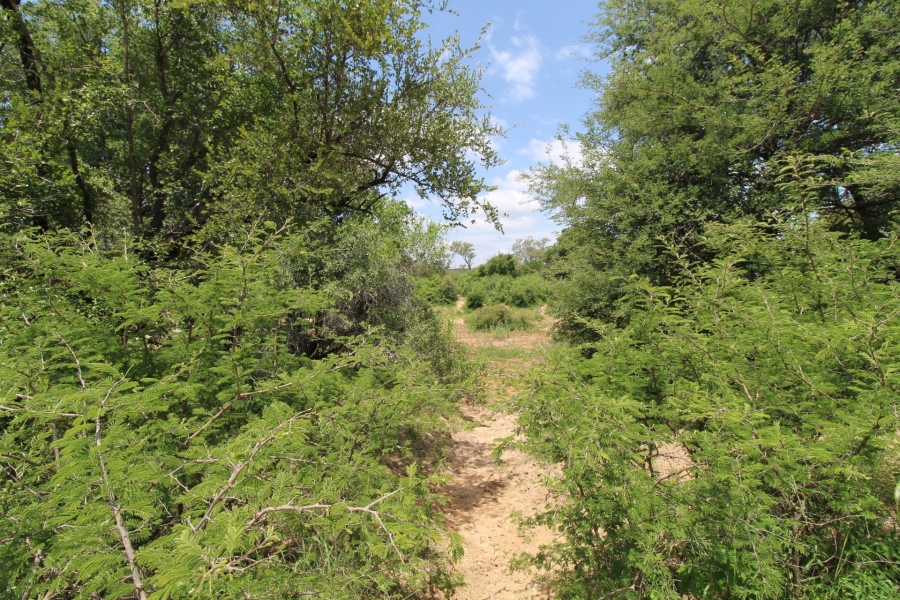 0 Bedroom Property for Sale in Raptors View Wildlife Estate Limpopo