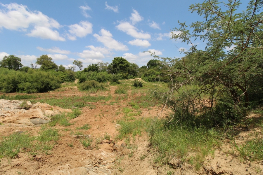 0 Bedroom Property for Sale in Raptors View Wildlife Estate Limpopo