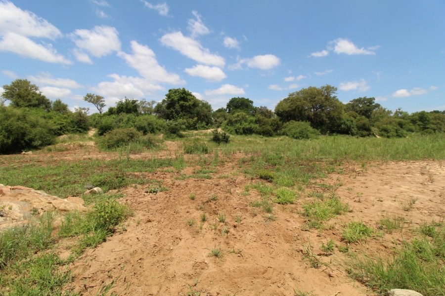 0 Bedroom Property for Sale in Raptors View Wildlife Estate Limpopo
