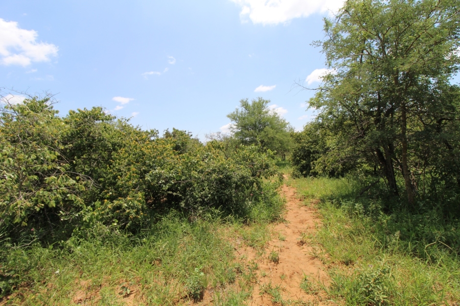 0 Bedroom Property for Sale in Raptors View Wildlife Estate Limpopo