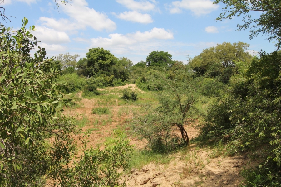 0 Bedroom Property for Sale in Raptors View Wildlife Estate Limpopo
