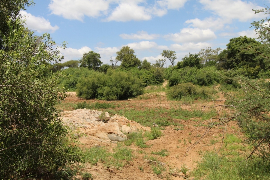 0 Bedroom Property for Sale in Raptors View Wildlife Estate Limpopo