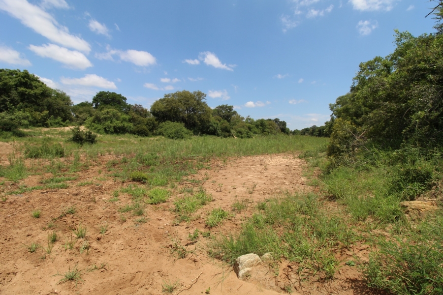 0 Bedroom Property for Sale in Raptors View Wildlife Estate Limpopo