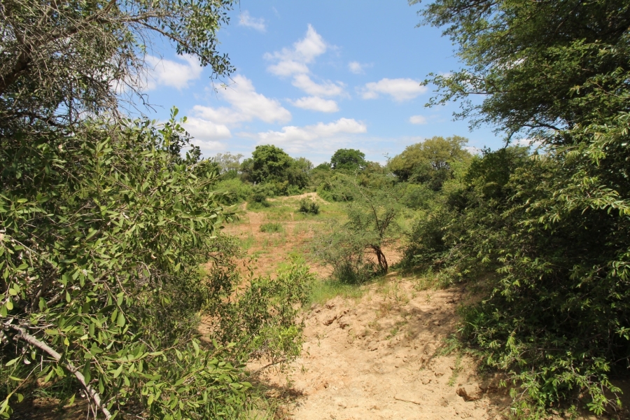 0 Bedroom Property for Sale in Raptors View Wildlife Estate Limpopo