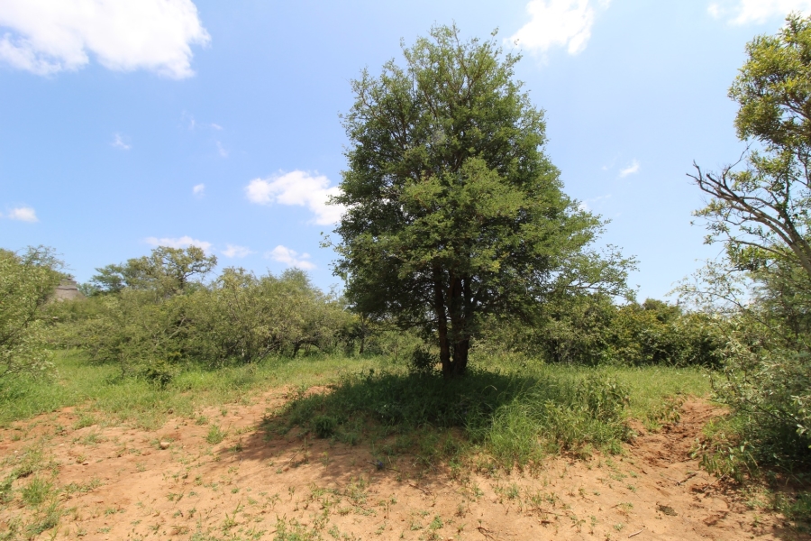 0 Bedroom Property for Sale in Raptors View Wildlife Estate Limpopo