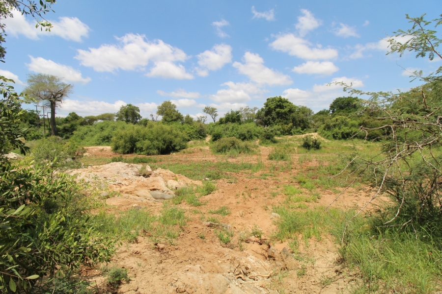 0 Bedroom Property for Sale in Raptors View Wildlife Estate Limpopo