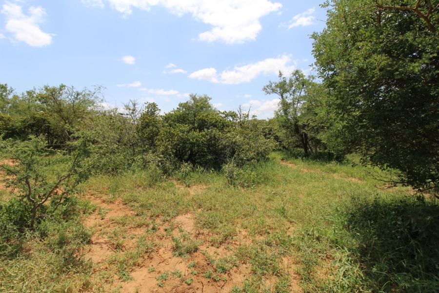0 Bedroom Property for Sale in Raptors View Wildlife Estate Limpopo
