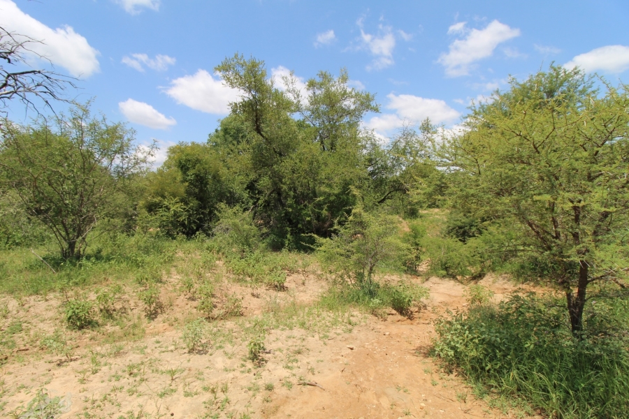 0 Bedroom Property for Sale in Raptors View Wildlife Estate Limpopo