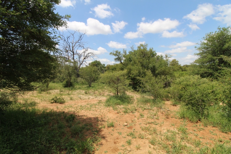 0 Bedroom Property for Sale in Raptors View Wildlife Estate Limpopo