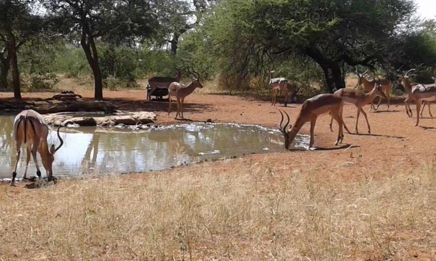 2 Bedroom Property for Sale in Alldays Limpopo