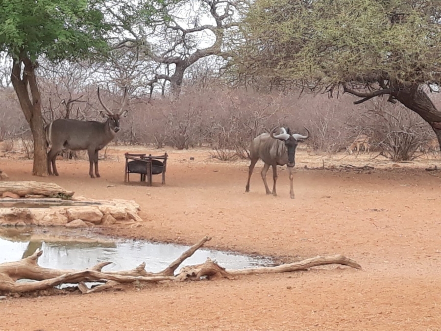 2 Bedroom Property for Sale in Alldays Limpopo