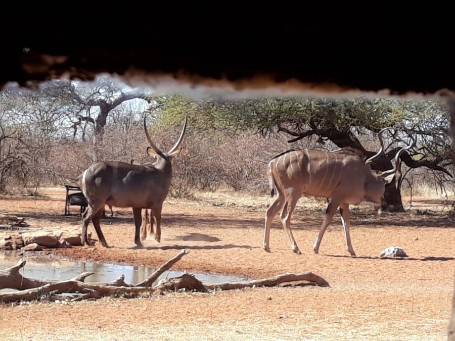 2 Bedroom Property for Sale in Alldays Limpopo