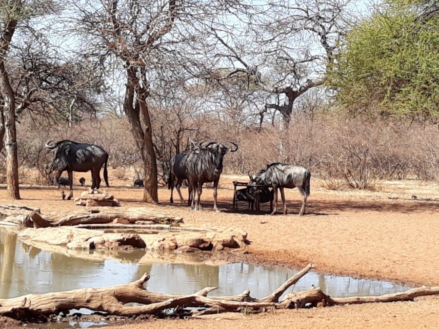 2 Bedroom Property for Sale in Alldays Limpopo