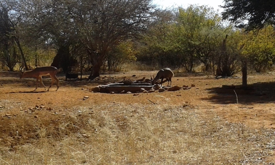 2 Bedroom Property for Sale in Alldays Limpopo