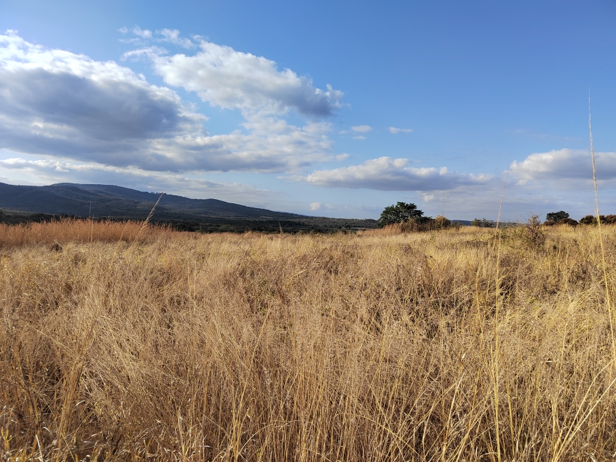 5 Bedroom Property for Sale in Agatha Park Limpopo