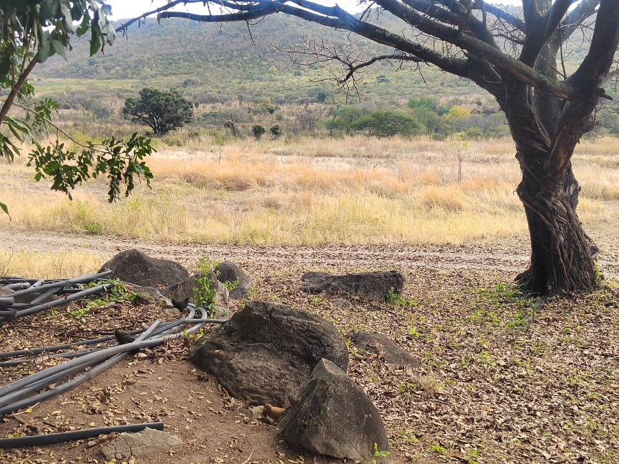 5 Bedroom Property for Sale in Agatha Park Limpopo
