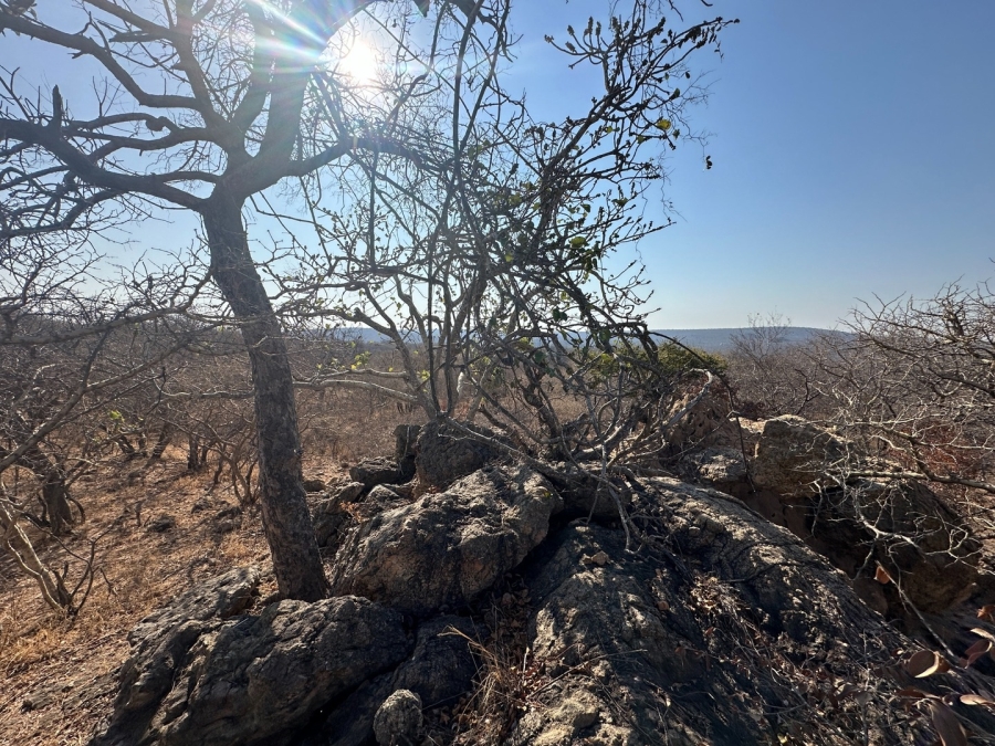 2 Bedroom Property for Sale in Lissataba Private Nature Reserve Limpopo