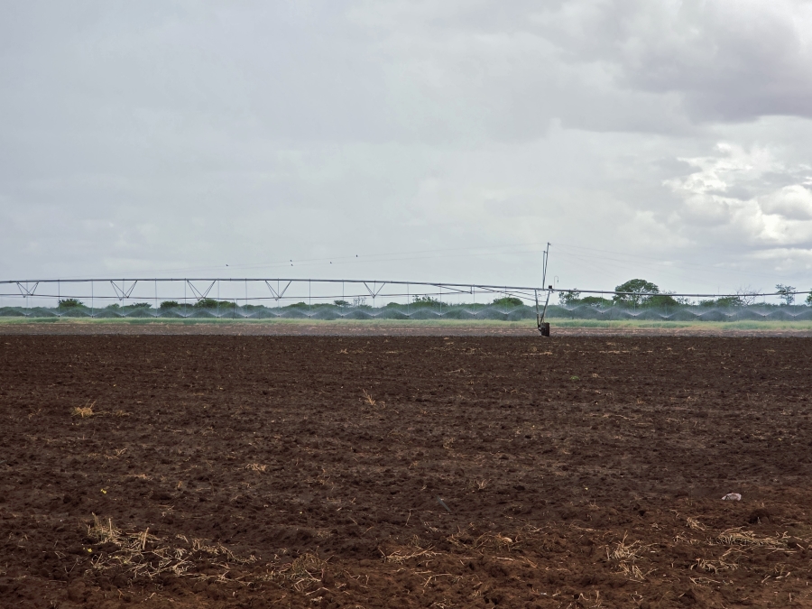4 Bedroom Property for Sale in Crecy Limpopo