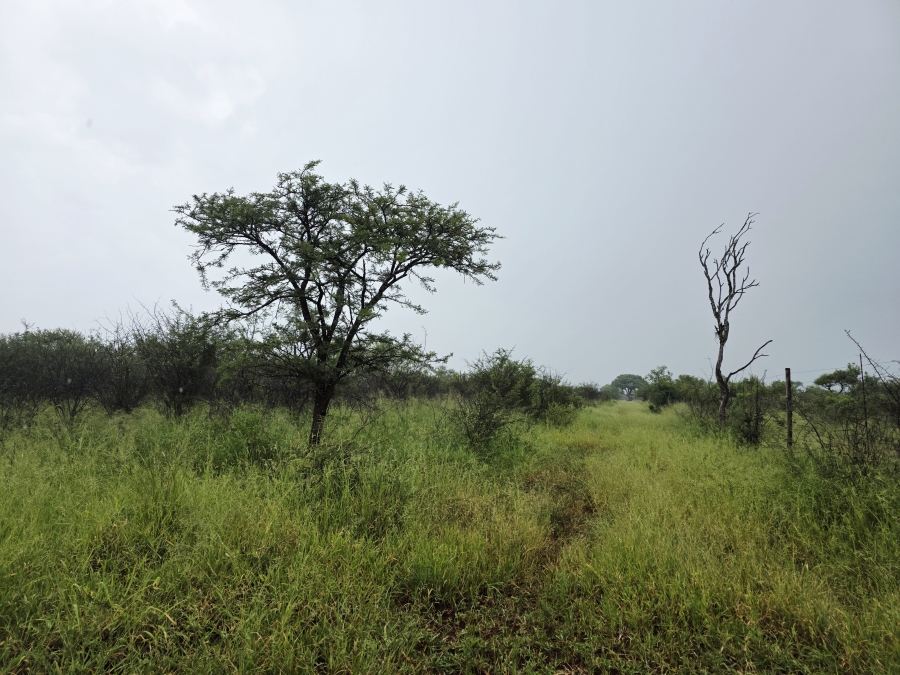 4 Bedroom Property for Sale in Crecy Limpopo